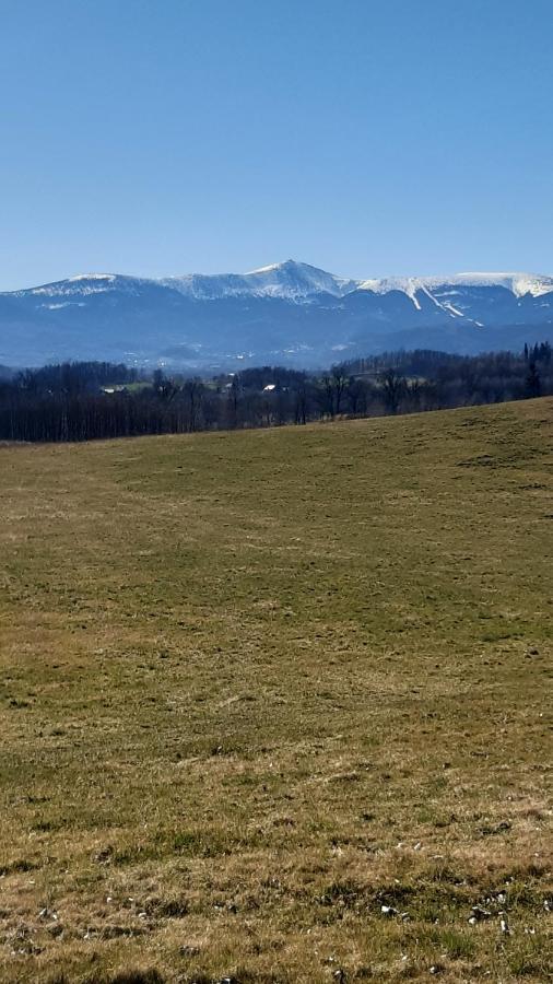 Przytulne Na Poddaszu Jelenia Gora Exterior photo