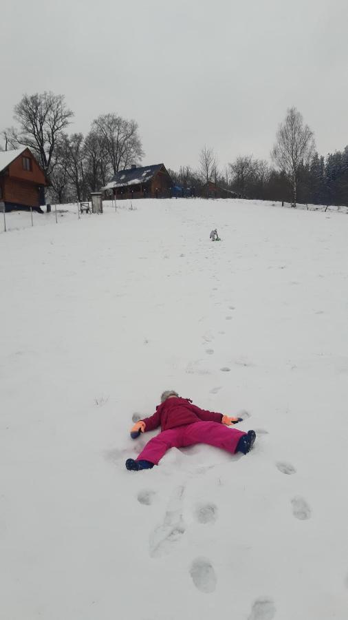 Przytulne Na Poddaszu Jelenia Gora Exterior photo